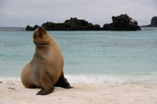 Exploring Galapagos Islands – Small Group Adventure Travel